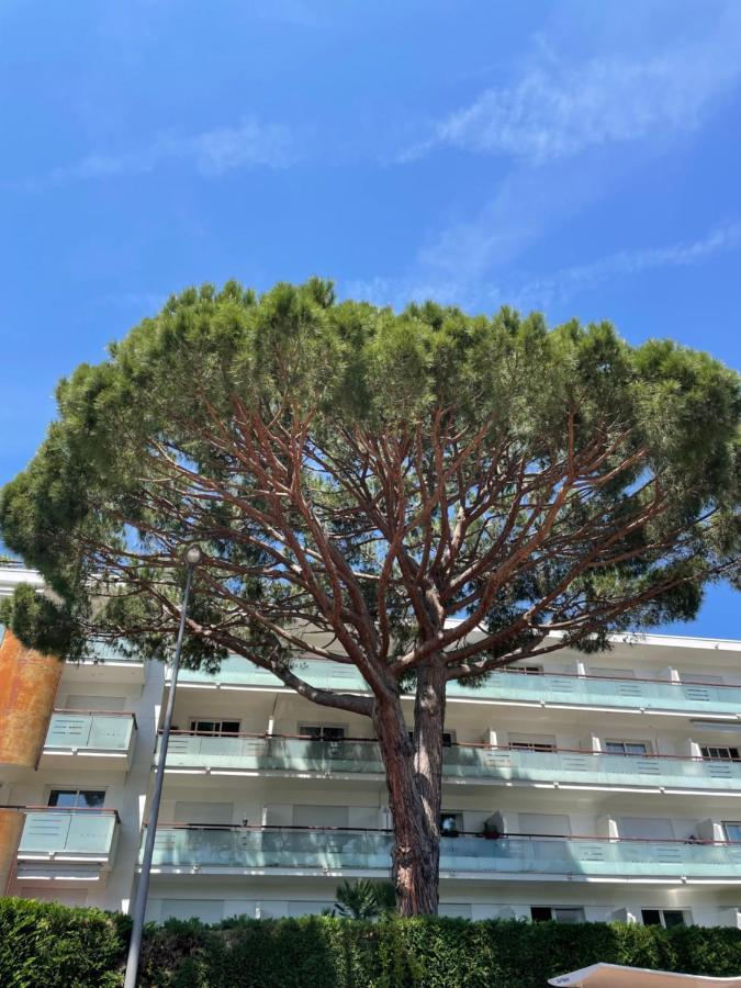 Superbe Studio Lumineux Sur Cannes Avec Terrasse ! A Quelques Minutes De La Celebre Rue D'Antibes ! Zewnętrze zdjęcie